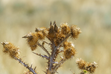 Similar image 21343708