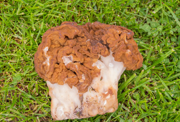 Similar image 21343858