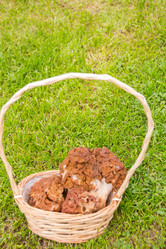 Similar image 21343859