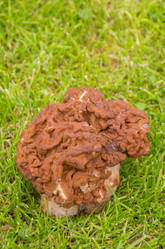 Similar image 21343860