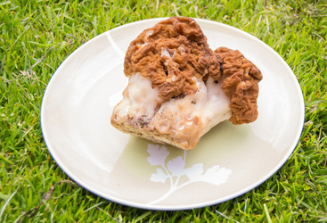 Similar image 21343861