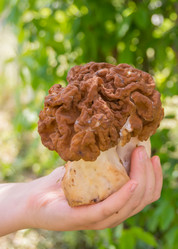 Similar image 21343862