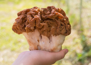 Similar image 21343863