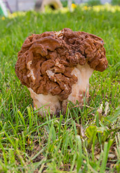 Similar image 21343864