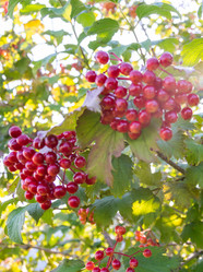 Similar image 21344914