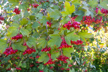 Similar image 21344916