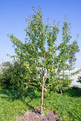 Similar image 21344917