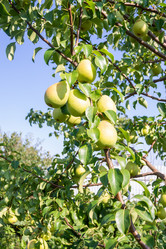 Similar image 21344918