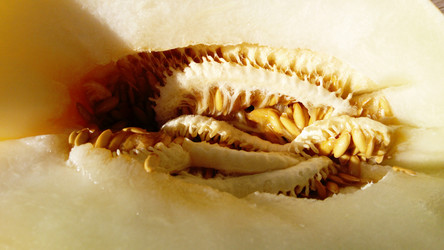 Similar image 21374581