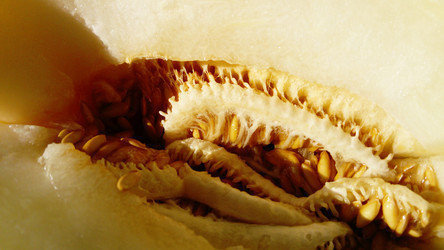 Similar image 21374583