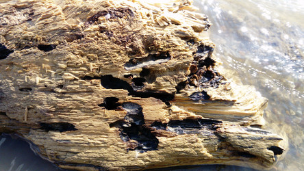 Similar image 21375201