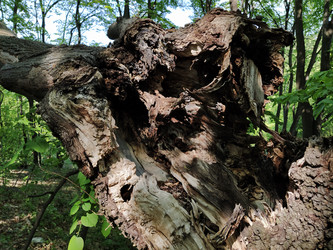 Similar image 21375701