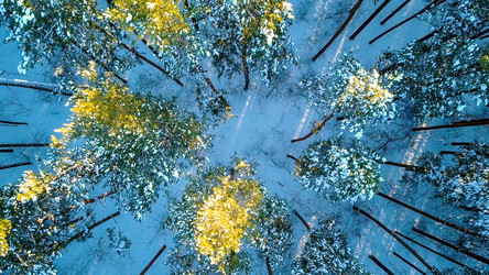 Similar image 21373659