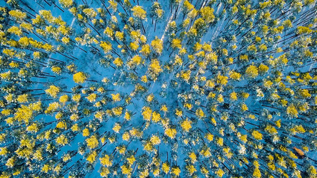 Similar image 21373662