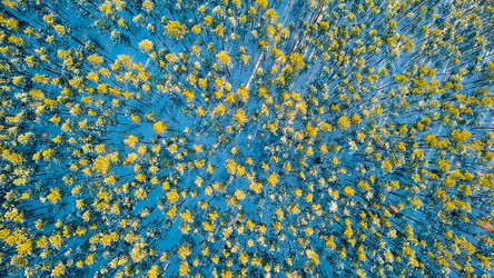 Similar image 21373664