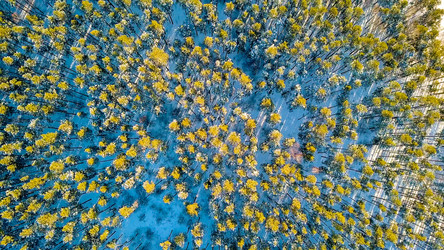 Similar image 21373666