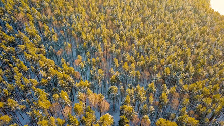 Similar image 21373668