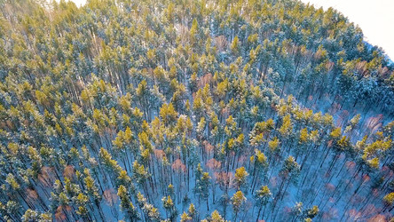 Similar image 21373674