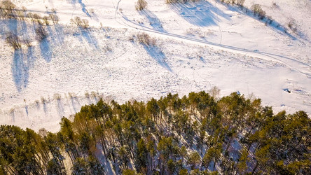 Similar image 21373675