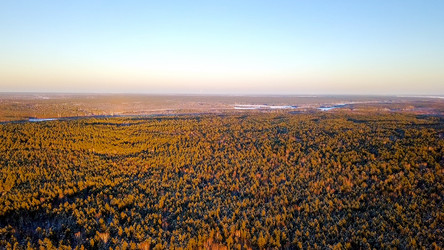 Similar image 21373835