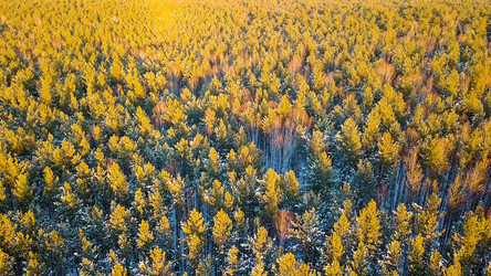 Similar image 21373844