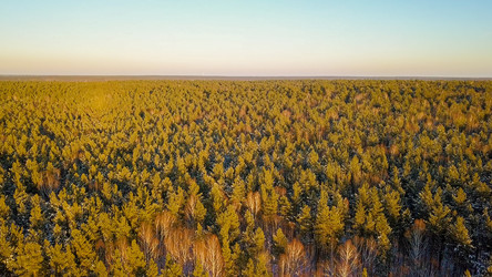 Similar image 21373846