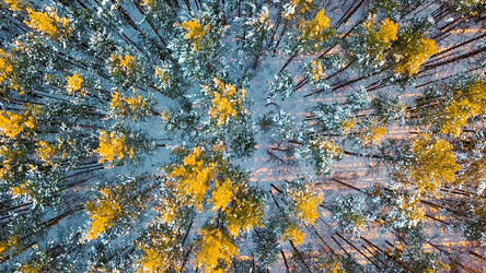 Similar image 21373849