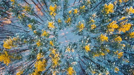 Similar image 21373852