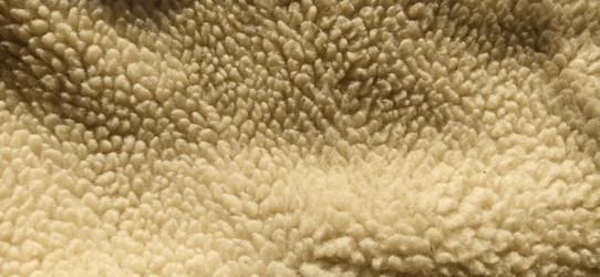 Similar image 21374612