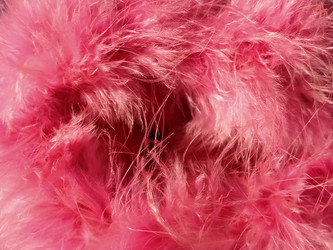 Similar image 21374791