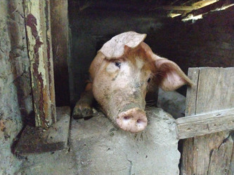 Similar image 21374348