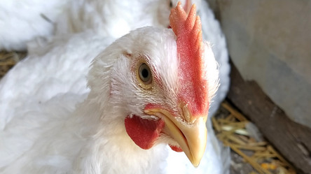 Similar image 21374355