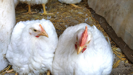 Similar image 21374357