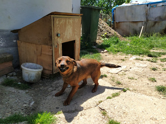 Similar image 21374359