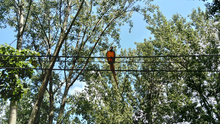 Similar image 21374362