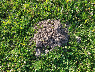 Similar image 21374364