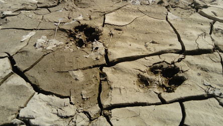 Similar image 21374366