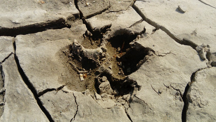 Similar image 21374367