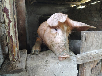 Similar image 21375431