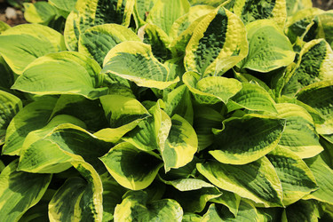 Similar image 21343220