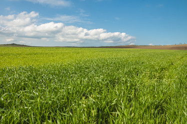 Similar image 21356486