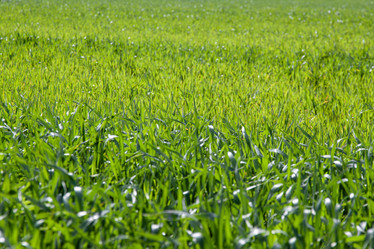 Similar image 21346219