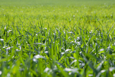 Similar image 21344727