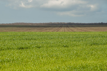 Similar image 21346486