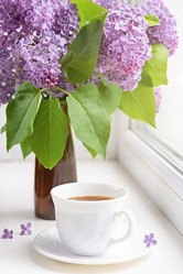 Similar image 21343869