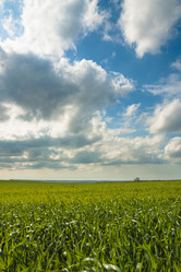 Similar image 21346220