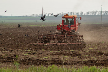 Similar image 21346493