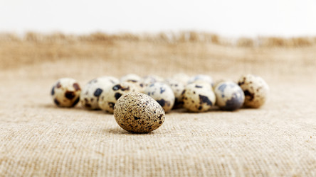 Similar image 21343333