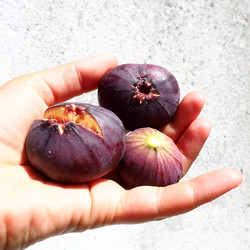 Similar image 21374616