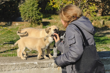 Similar image 21344720